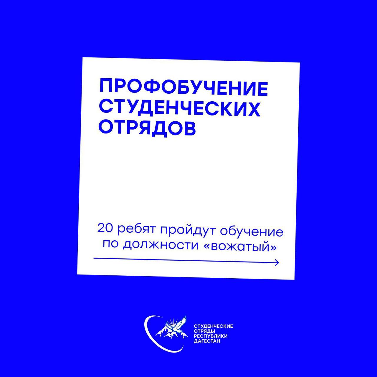 Объявляен набор на профессиональное обучение по должности «Вожатый»