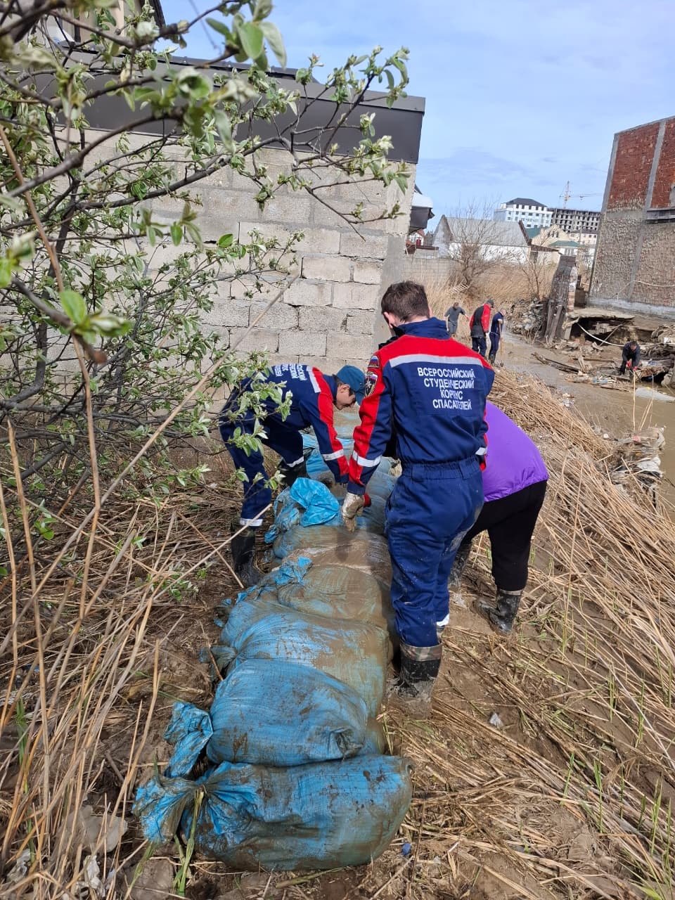 Добровольцы Всероссийского студенческого корпуса спасателей построили защитное сооружение и очистили русло реки в Махачкале