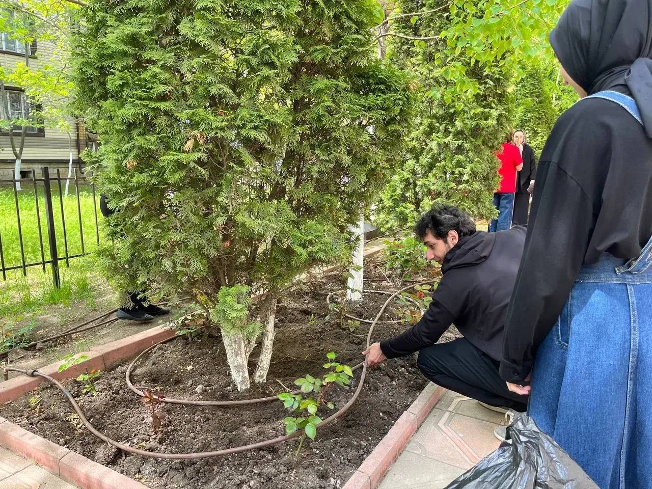 Более 3000 волонтеров приняли участие во Всероссийском субботнике в Дагестане