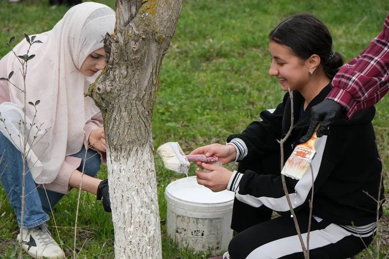 Более 3000 волонтеров приняли участие во Всероссийском субботнике в Дагестане